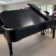 1974 Steinway Model D concert grand piano - Grand Pianos